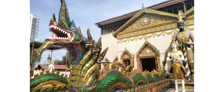 10 days Adventure Package (10% booking)