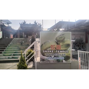 10 days package (10% booking)